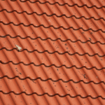 gemini generated image 8sr7b78sr7b78sr7