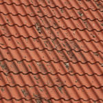 gemini generated image mjv0hzmjv0hzmjv0