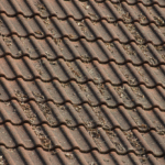 gemini generated image oijc41oijc41oijc