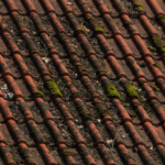 gemini generated image rbdkszrbdkszrbdk (1)